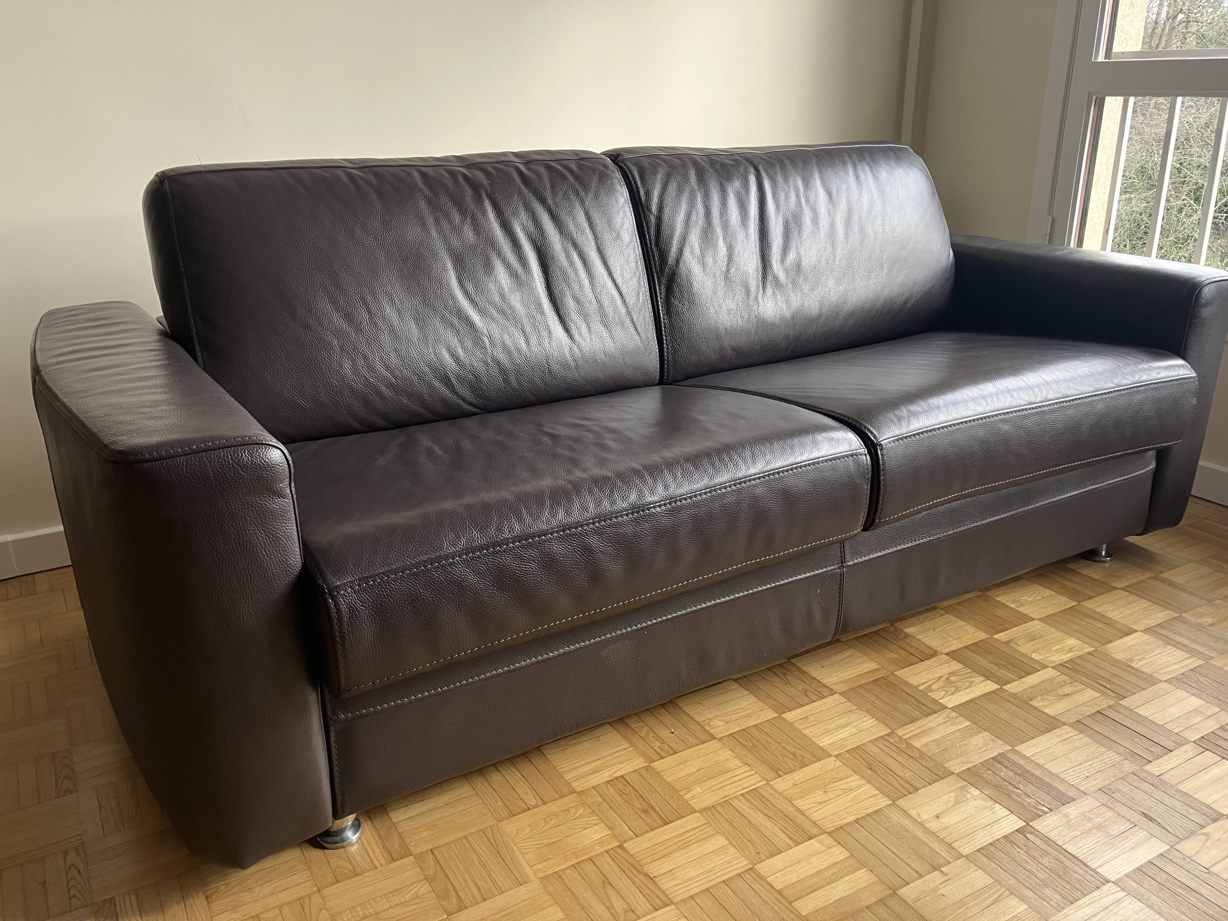Seiner convertible sofa bed