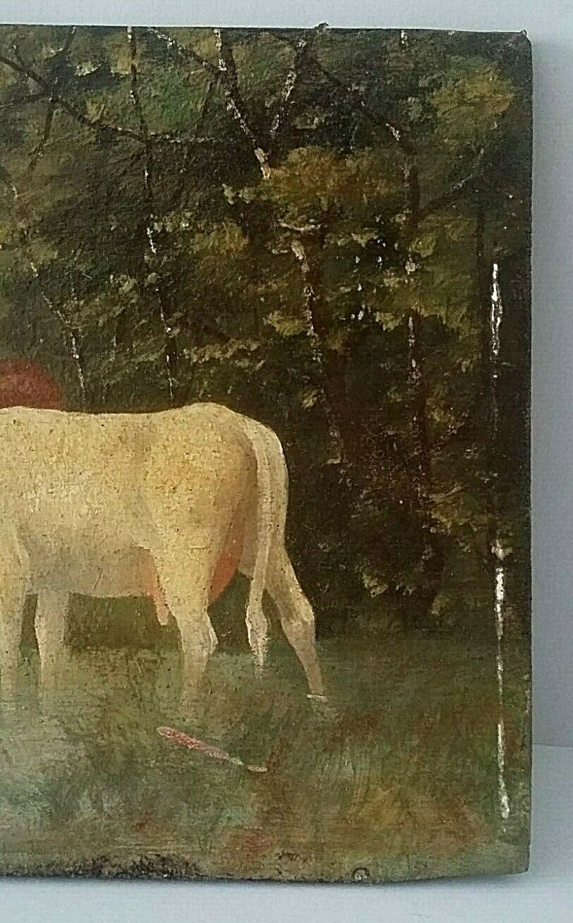Table oil on panel cows late 19th early 20th century