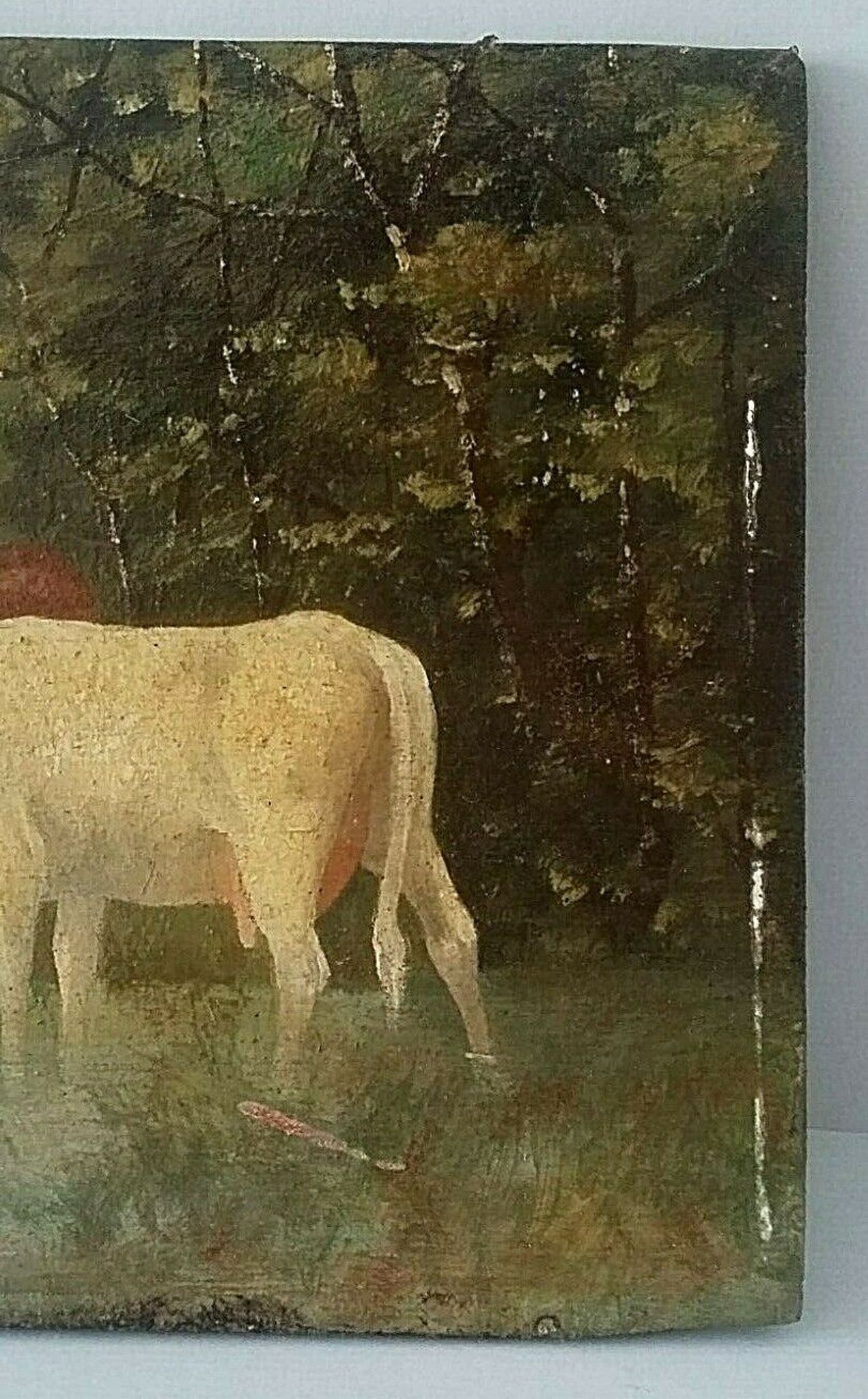 Table oil on panel cows late 19th early 20th century