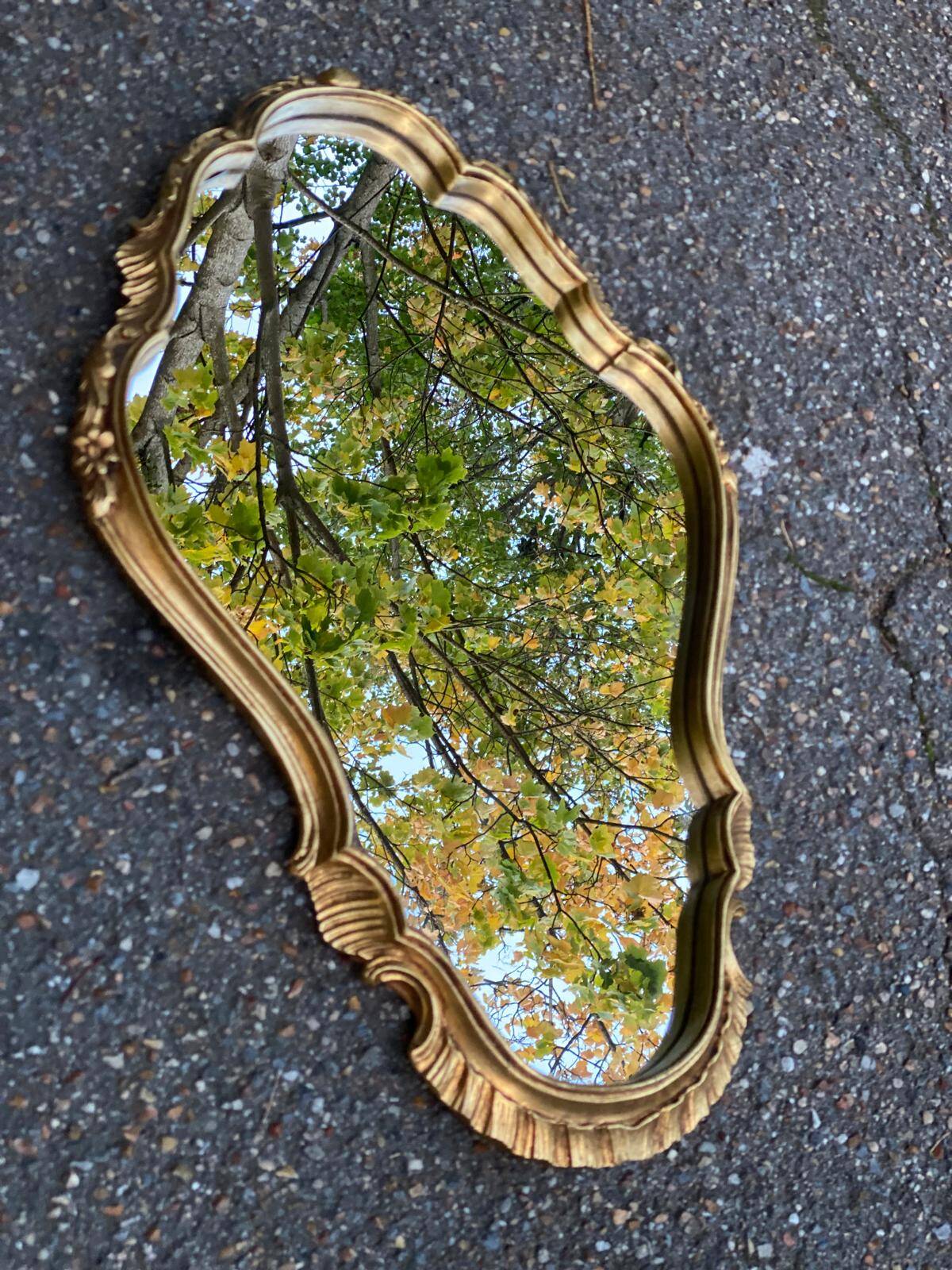 Baroque mirror in gilded Louis XV style 60x40cm