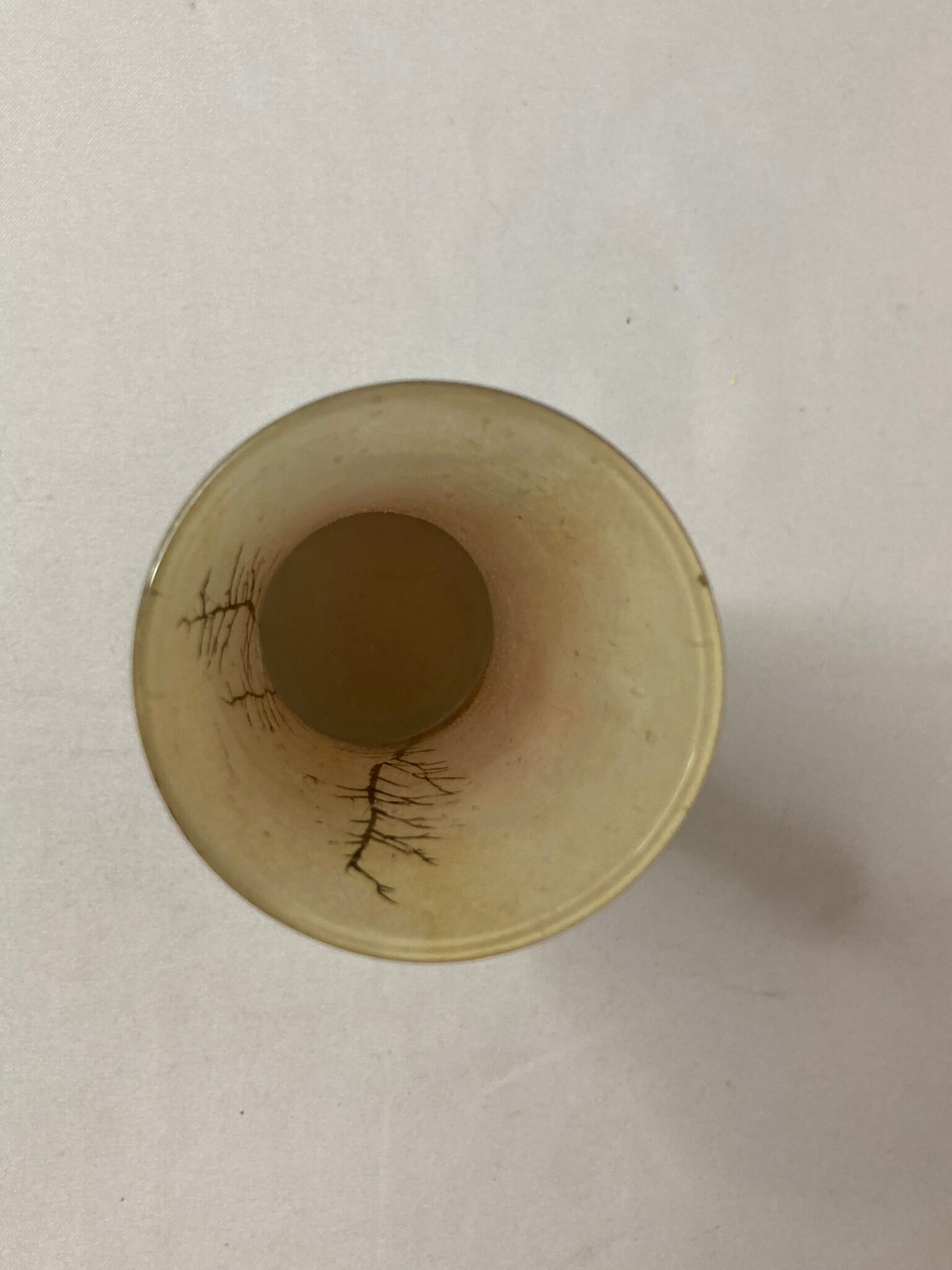 Vase verre émaillé paysage enneigé vers 1900 Legras