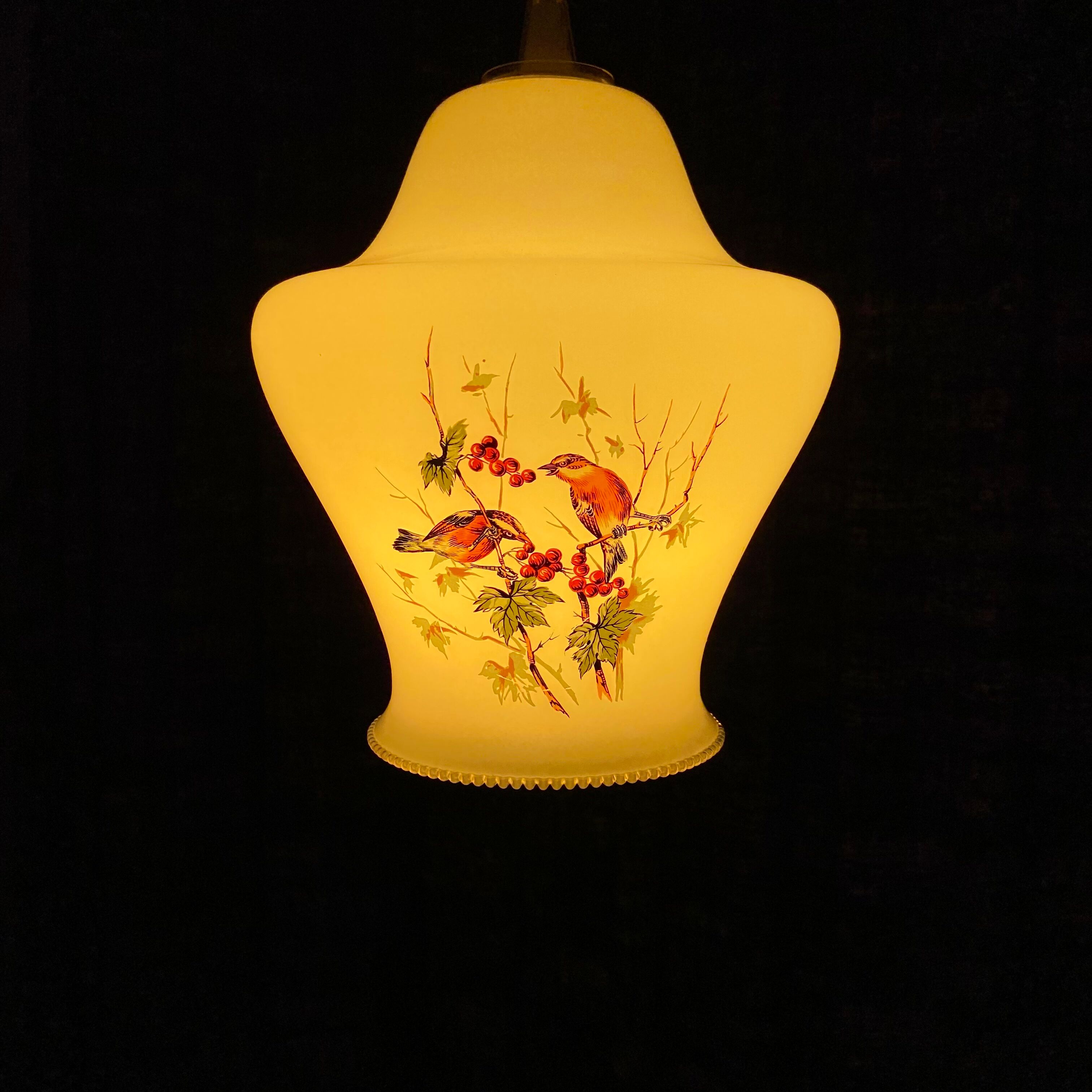 Opaline pendant lamp-Bird decoration-60s