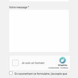 Abat jour pipistrello taille M