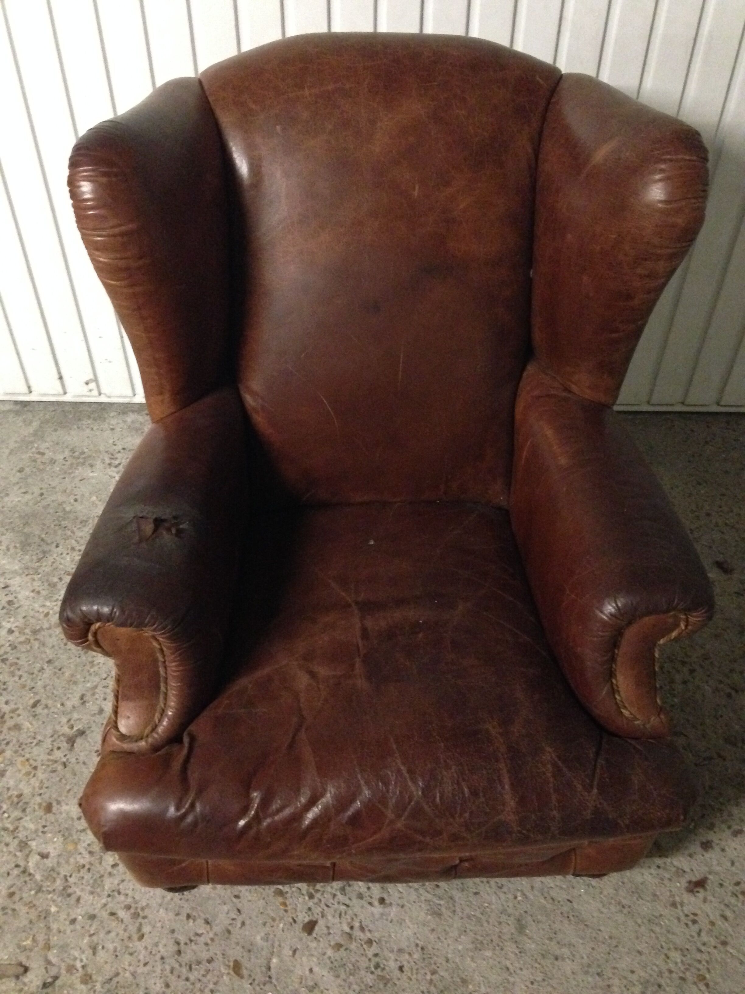 Club Chair English Shepherdess in ears