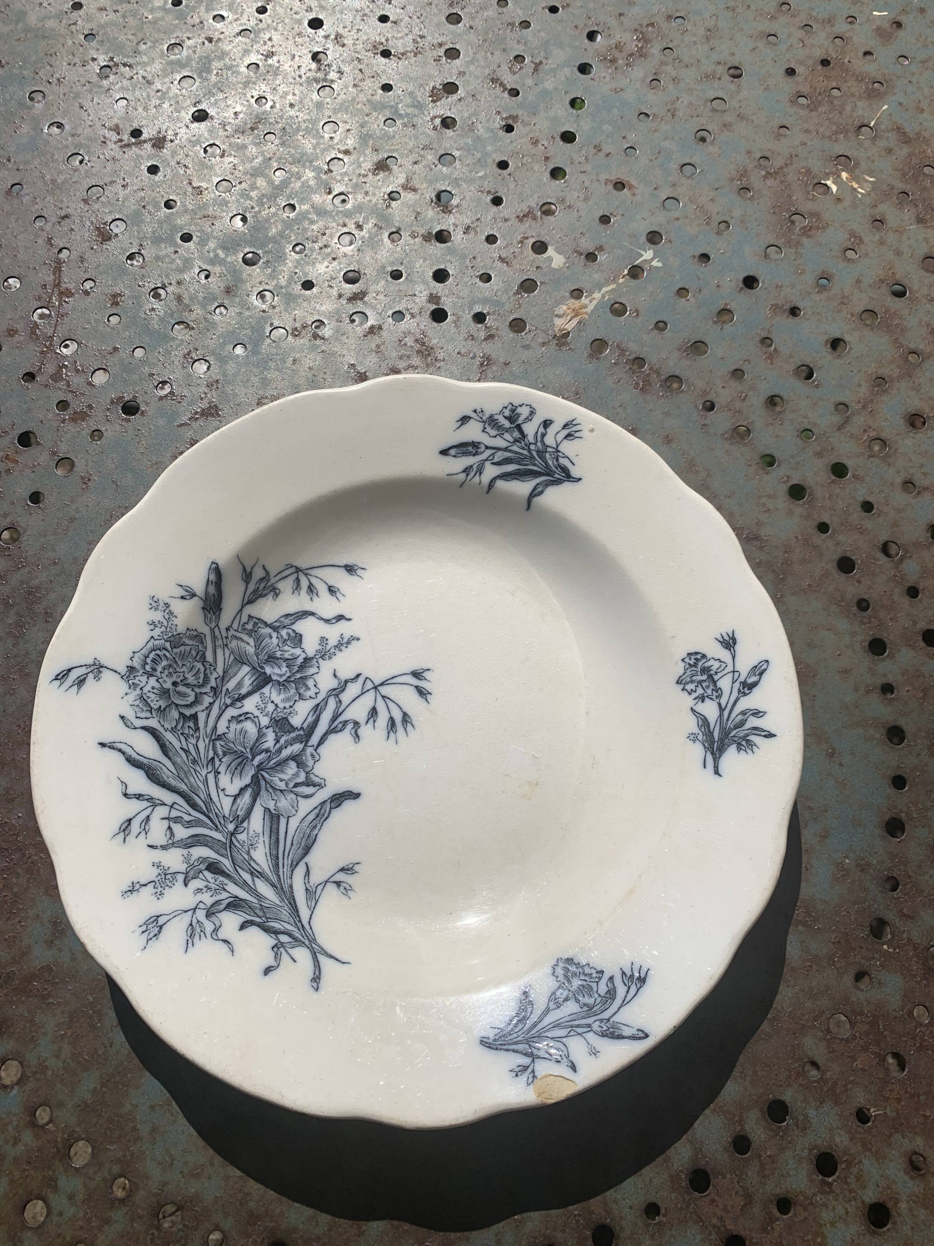 Hollow plate, fruit cup pattern carnations badonviller