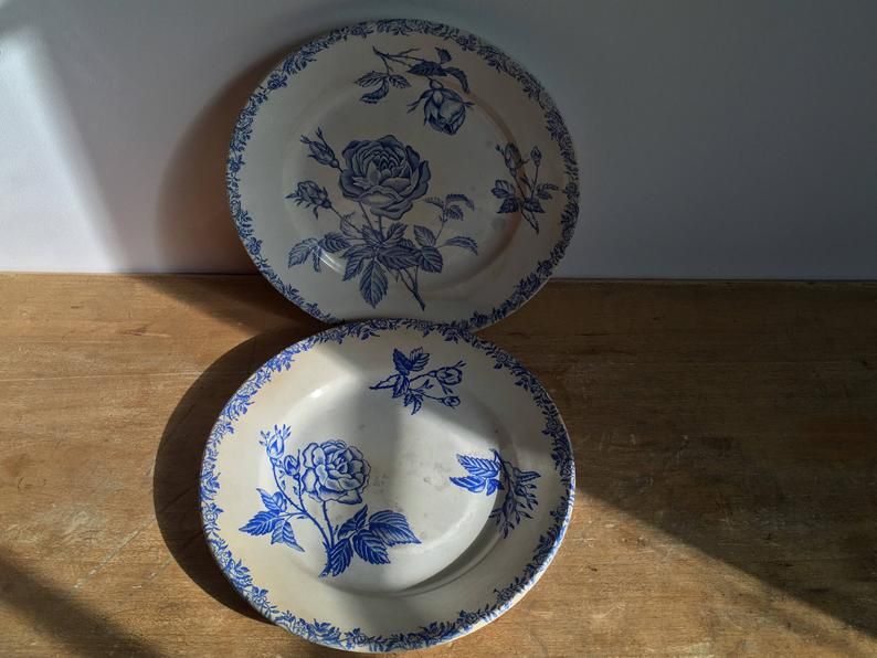 2 flat plates mismatched iron earth with blue flower motifs France