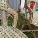 Wicker garden furniture 1920