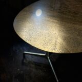 Dining room table Castelli
