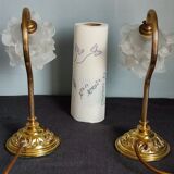 Pair of vintage gooseneck lamp