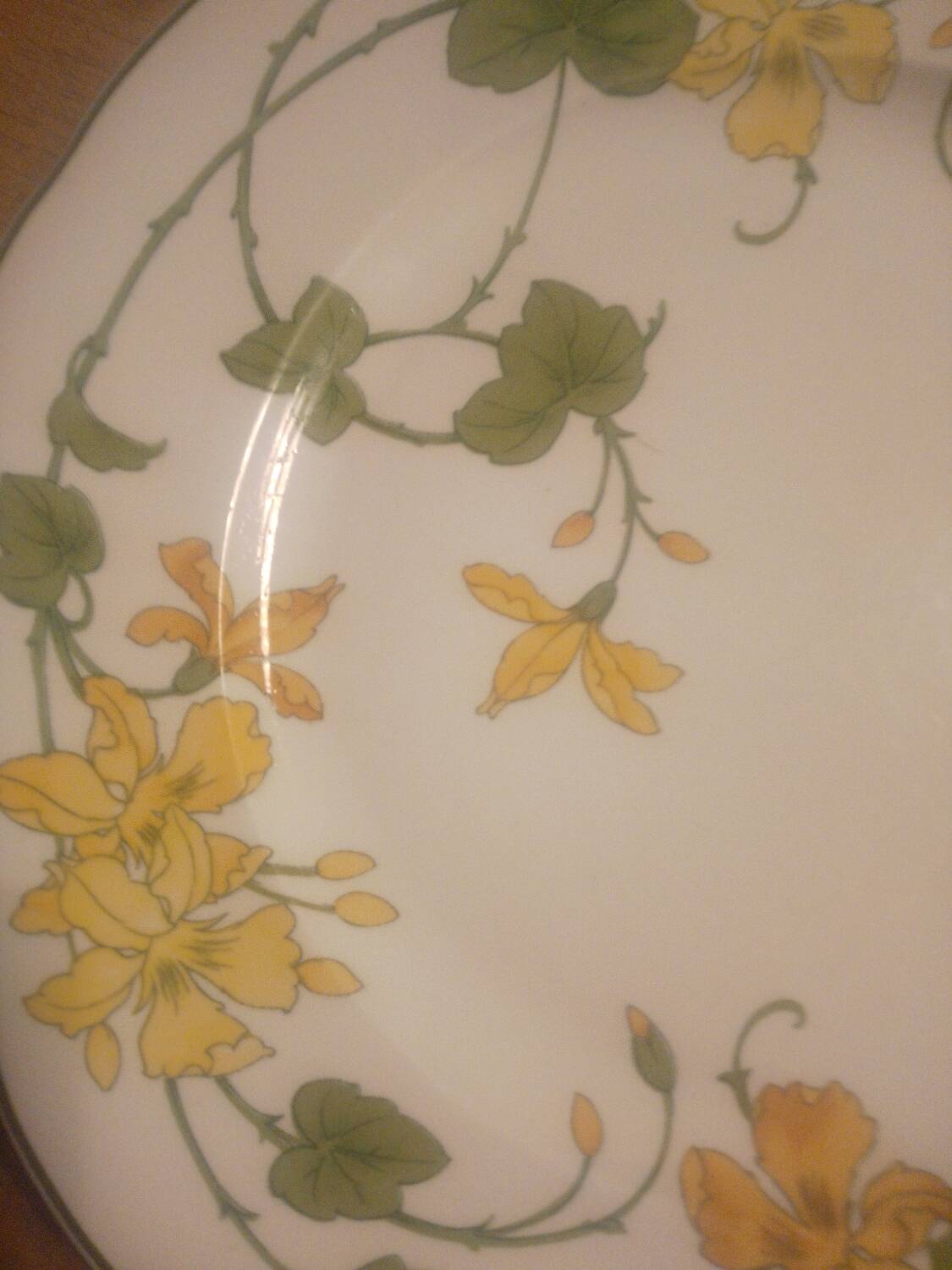 6 Villeroy and Boch “geranium” plates