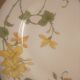 6 Villeroy and Boch “geranium” plates