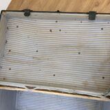 Bulging trunk at the tourist