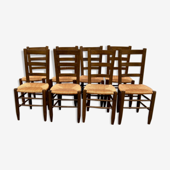 Series of eight mulched chairs
