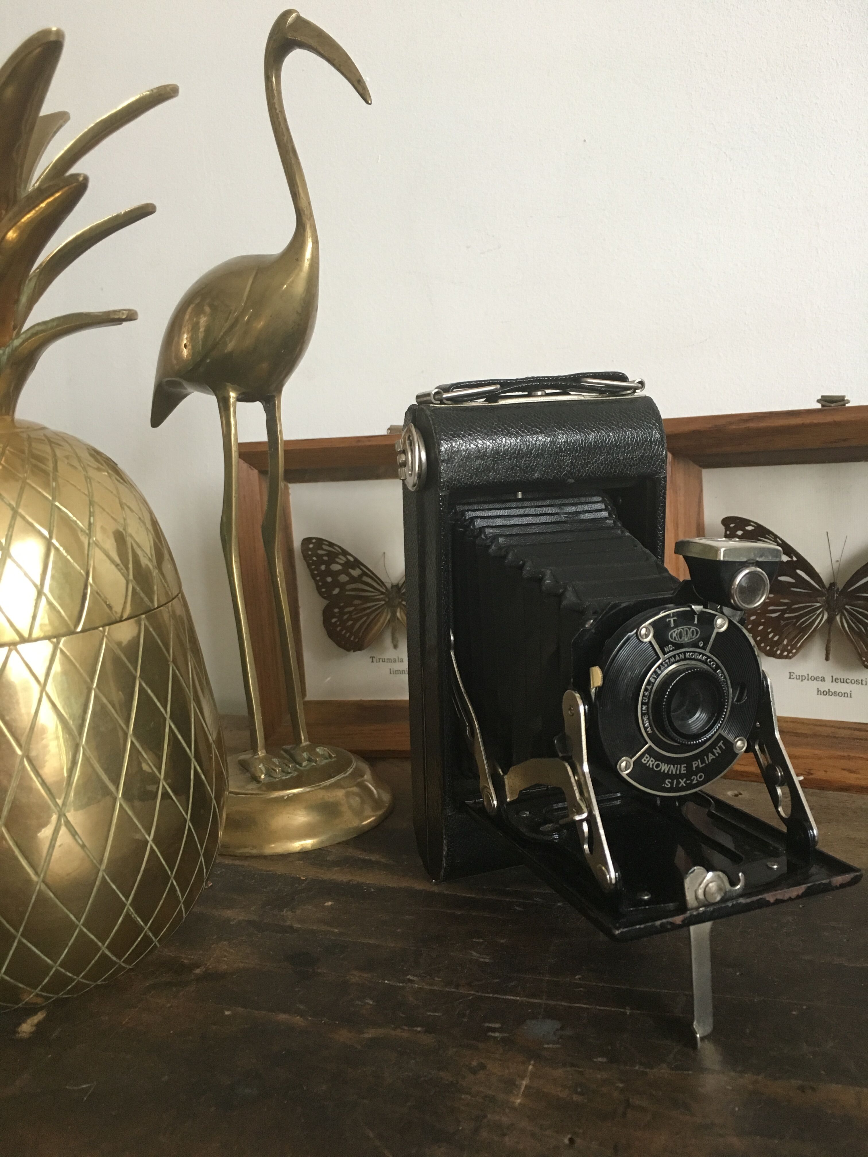 Appareil photo Kodak à soufflet