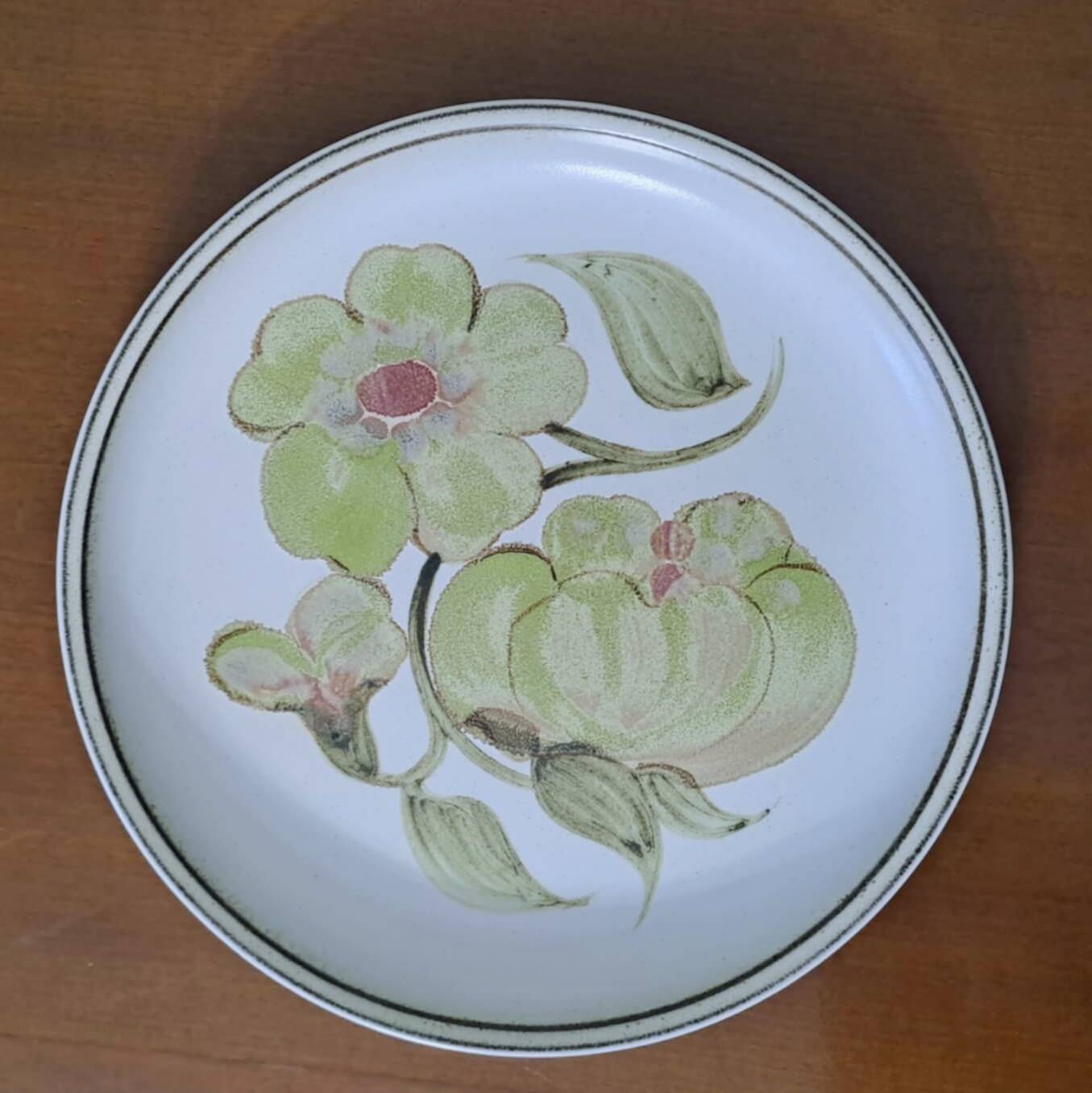 6 stoneware dinner plates