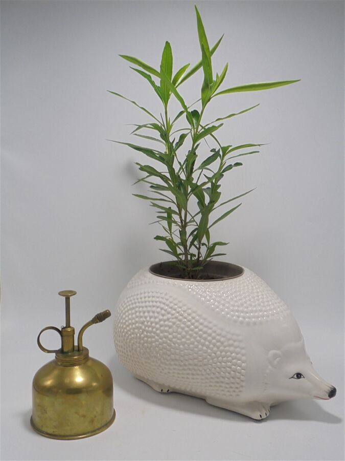 Hedgehog pot cover