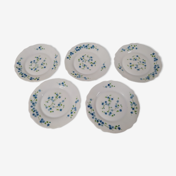 Set de 5 assiettes à dessert Arcopal véronica myosotis fleur bleu vintage