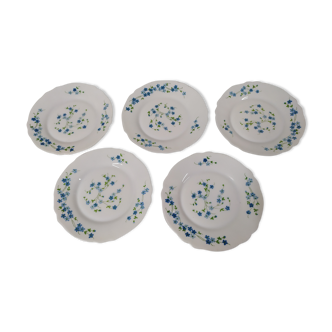 5 Desserts ARCOPAL Véronica Myosotis Vintage Blue Flower