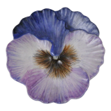 Flat plate or empty ceramic pocket: in bloom a colorful Thought signed Guillot France TBE