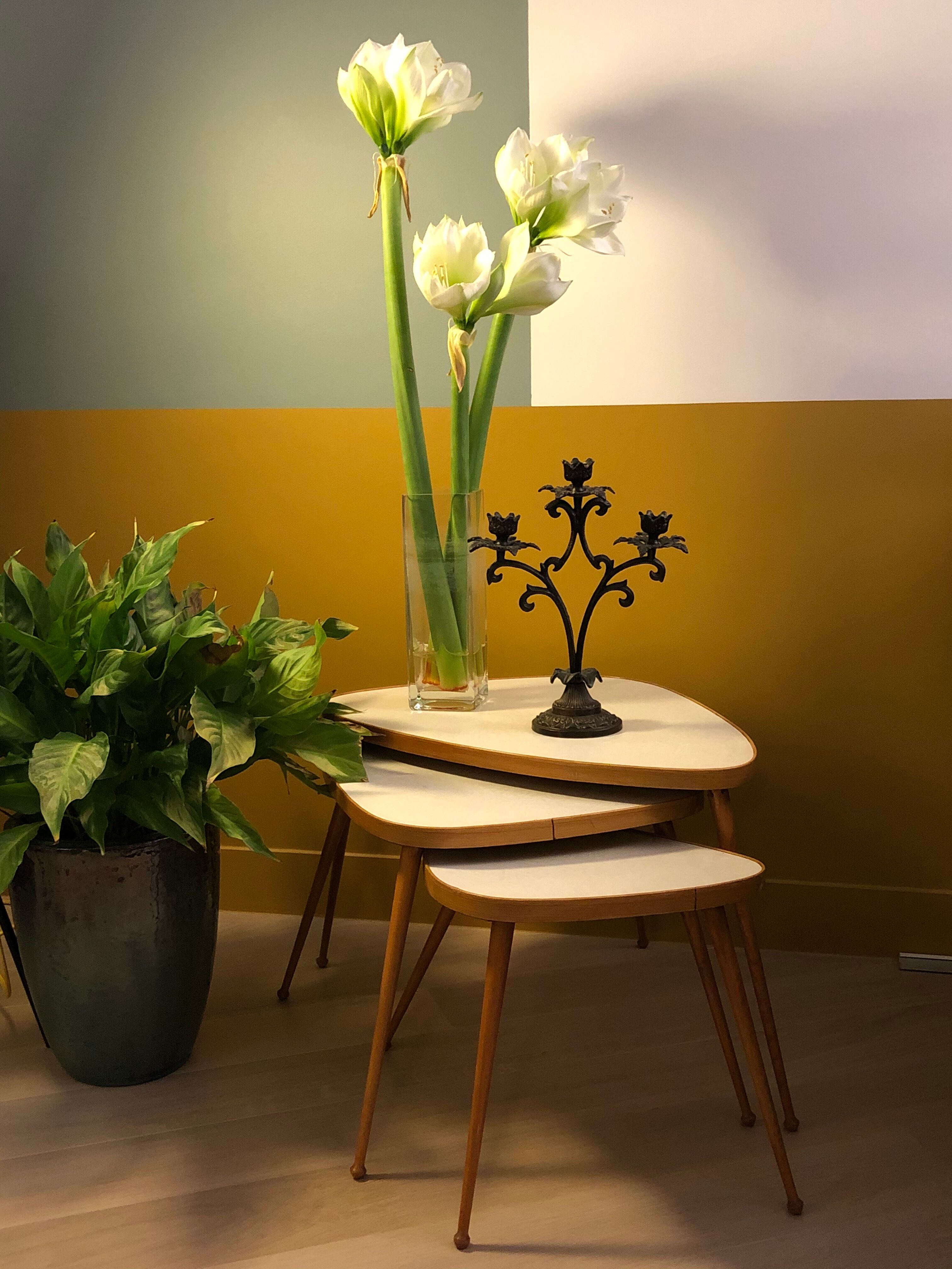 3 branches candlestick