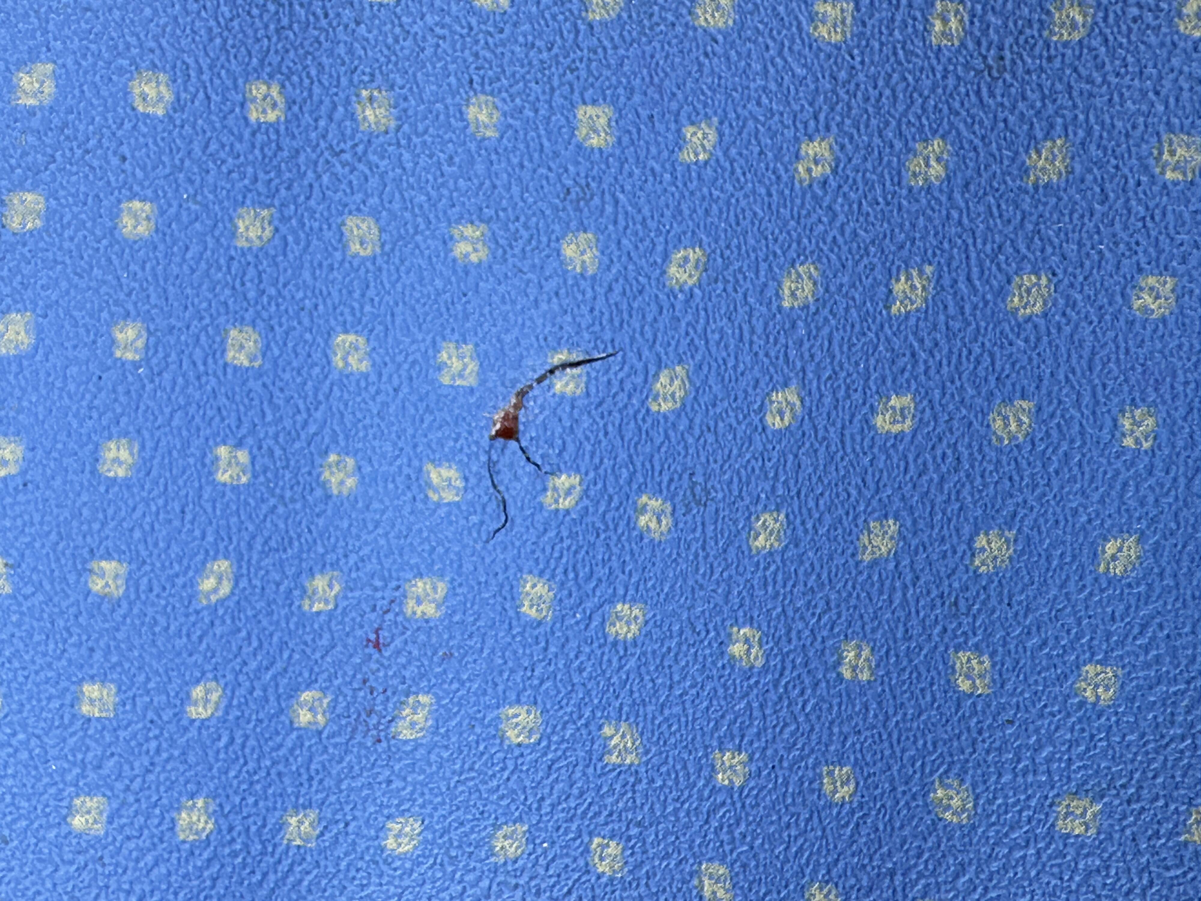 Pair of vintage children's armchairs from the 70s and 80s