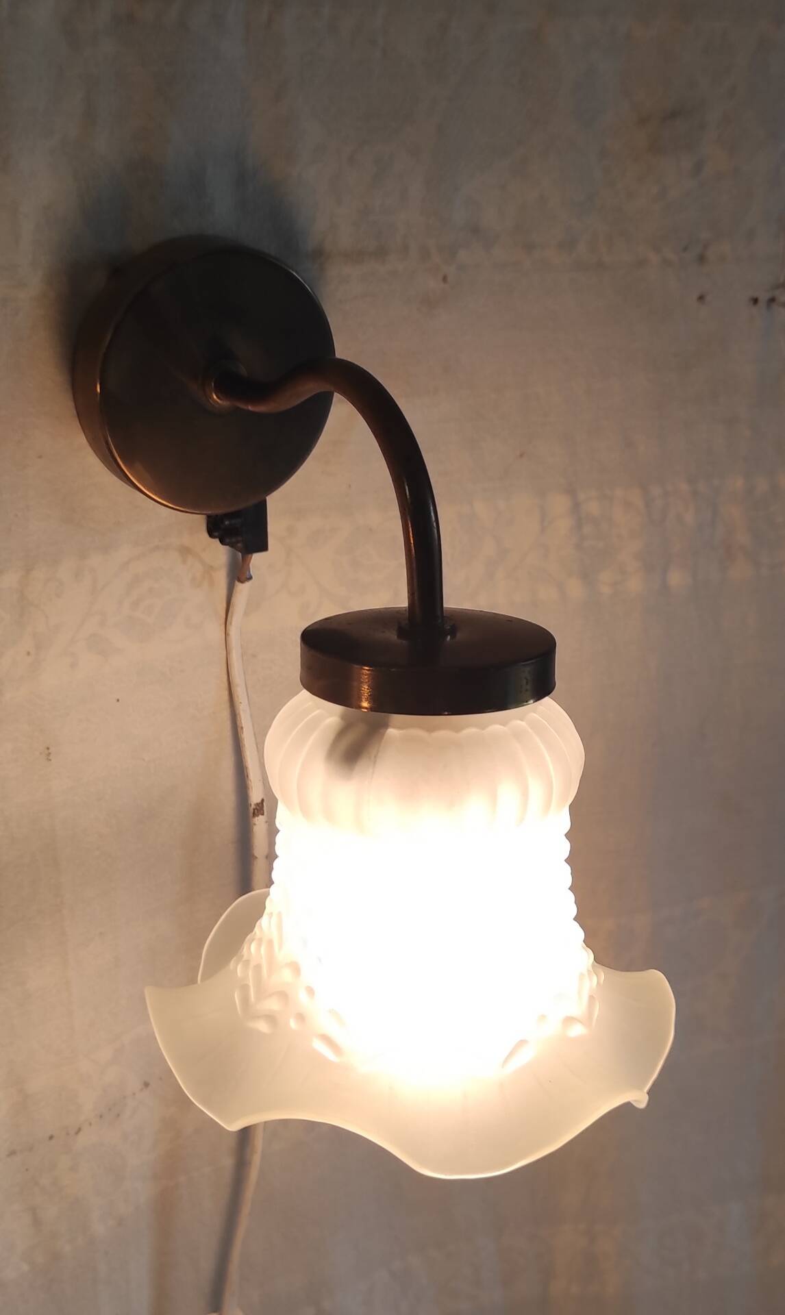 Swan neck wall lights in brass and glass - mid 20th century.