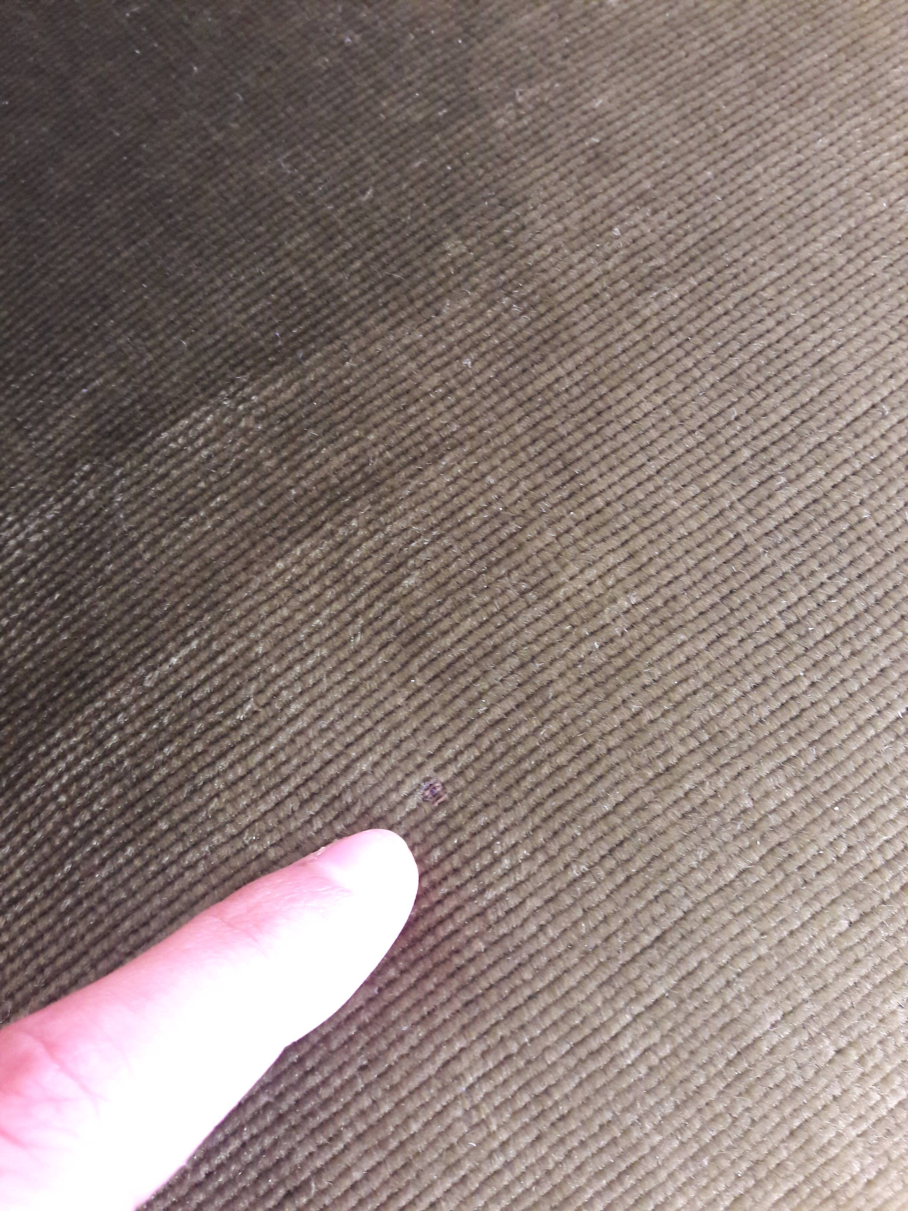 Green velvet toad chair