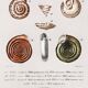 Poster about snails and shellfish, based on an old engraving