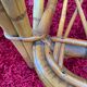 Pair of rattan chairs with cushions Audoux Minnet