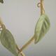 Vintage Italian Double Light Table Lamp Green Leaves Glass Shades
