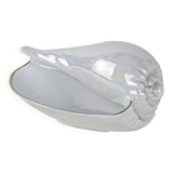 Porcelain seashell, Italian design, 1970s, manufactured in Italy