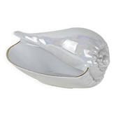 Porcelain seashell, Italian design, 1970s, manufactured in Italy