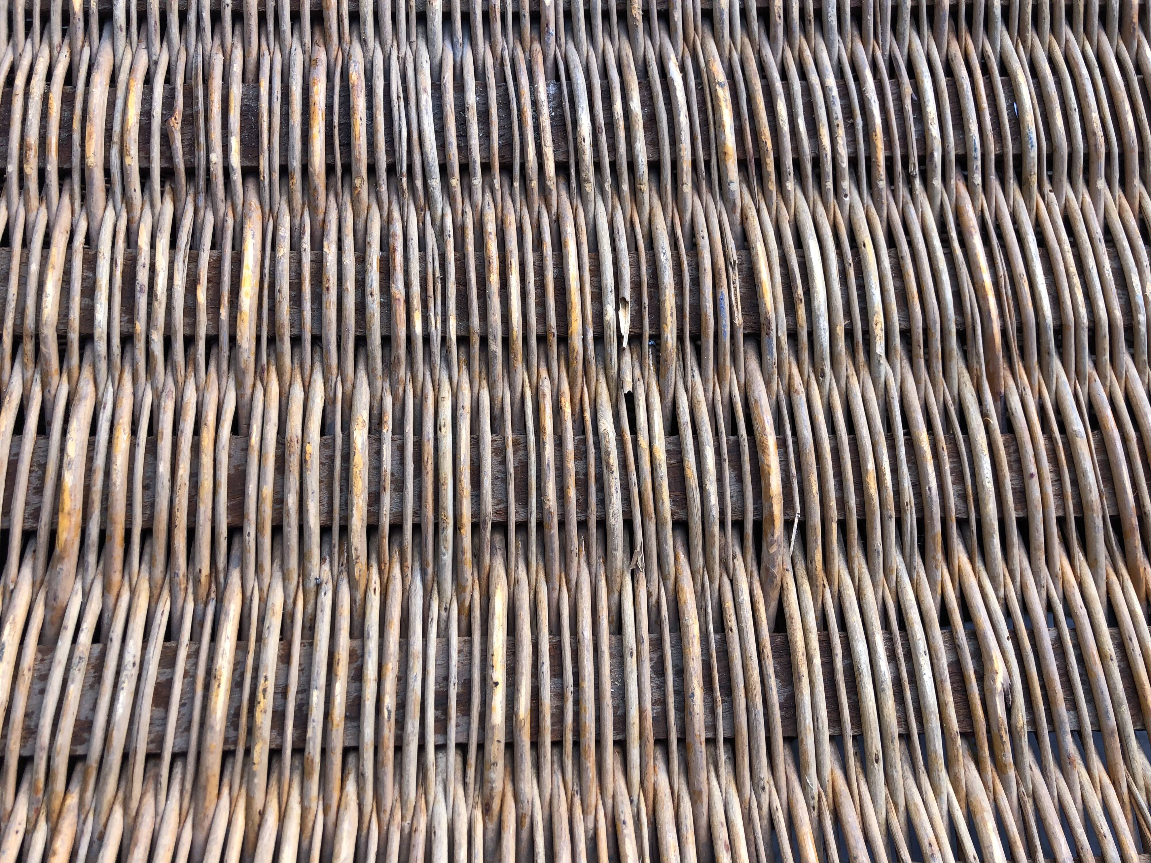 Old braided wicker trunk