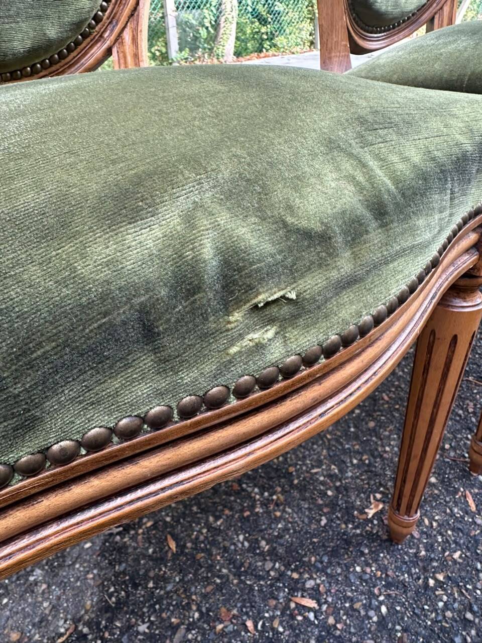 Set of 6 Louis XVI medallion chairs in green velvet, 1950.
