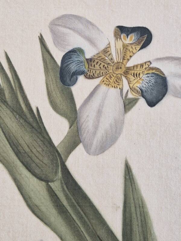 La Roche Laffitte (Born in 1943) - Watercolour drawing on silk - Morée