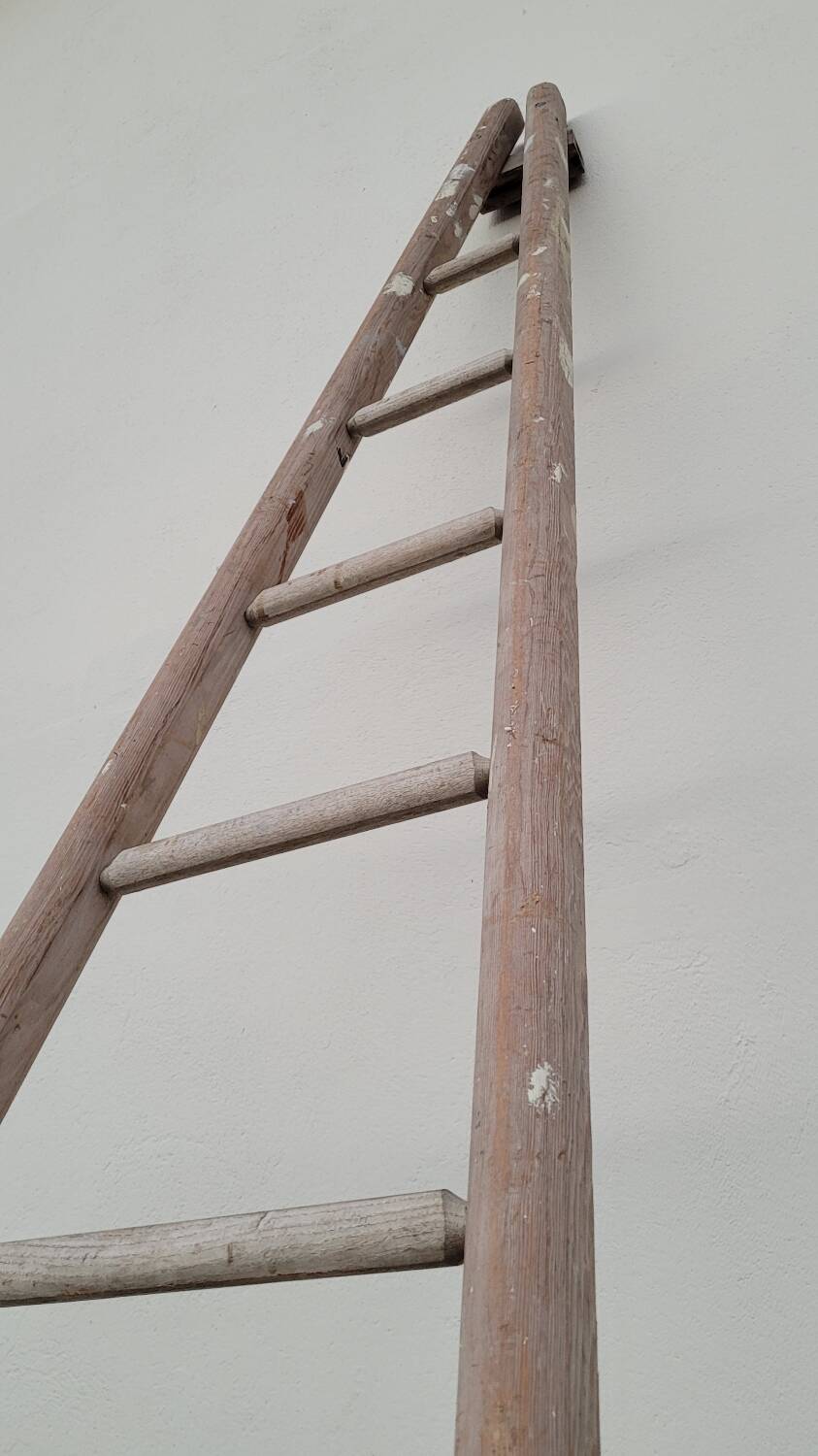 Old wooden fruit harvest market gardener's ladder - 3m65