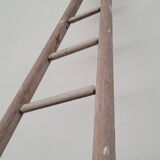 Échelle de maraîcher récolte fruitière en bois ancien -3m65