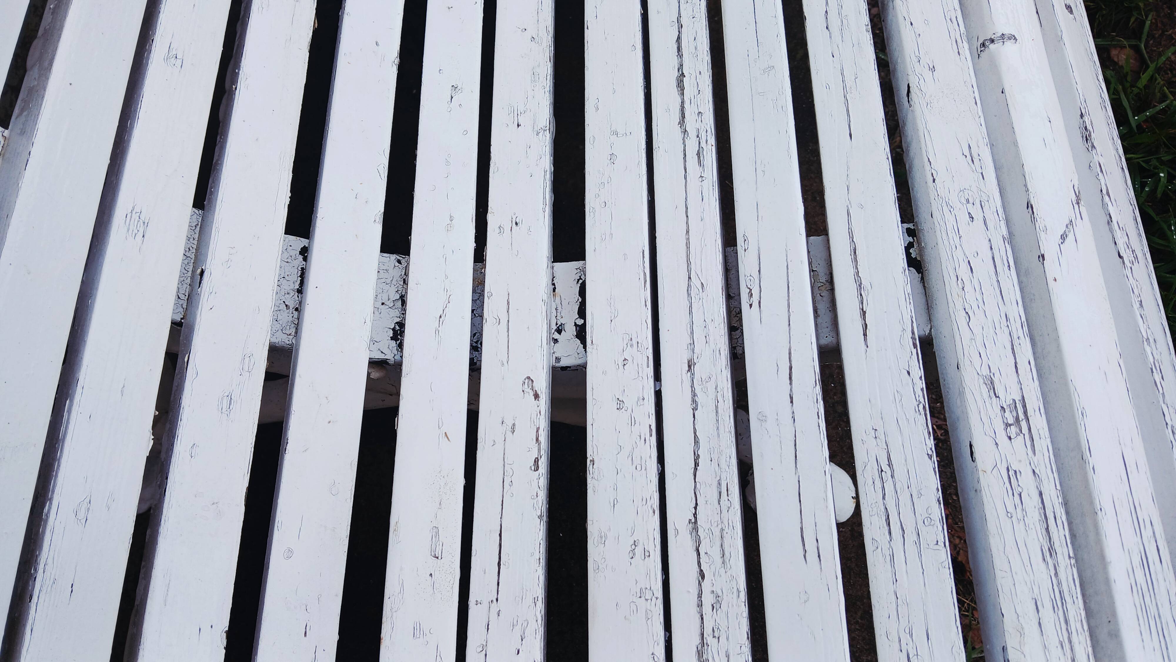 Cast iron and wooden slat garden bench from the early 20th century