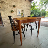 Scandinavian table teak and lemon tree Italian extensions