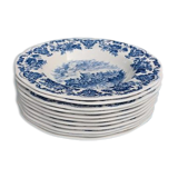 11 plates english porcelain