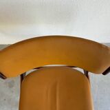 Vintage set of chairs skai and rosewood