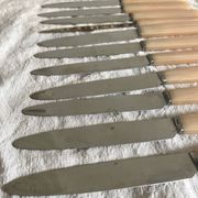 Vintage resin and stainless steel knives