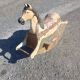 Antique rocking horse