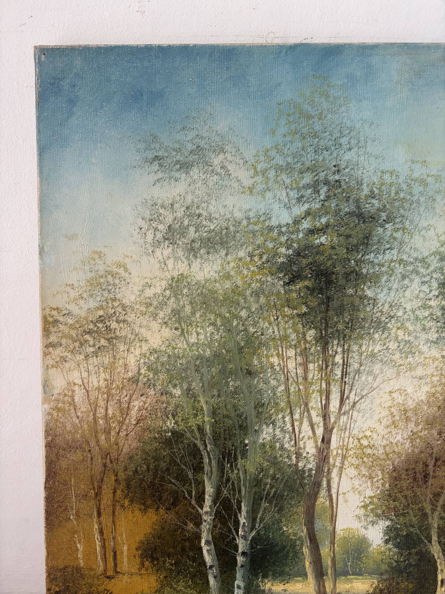 Path under the tall trees, oil on canvas signed
