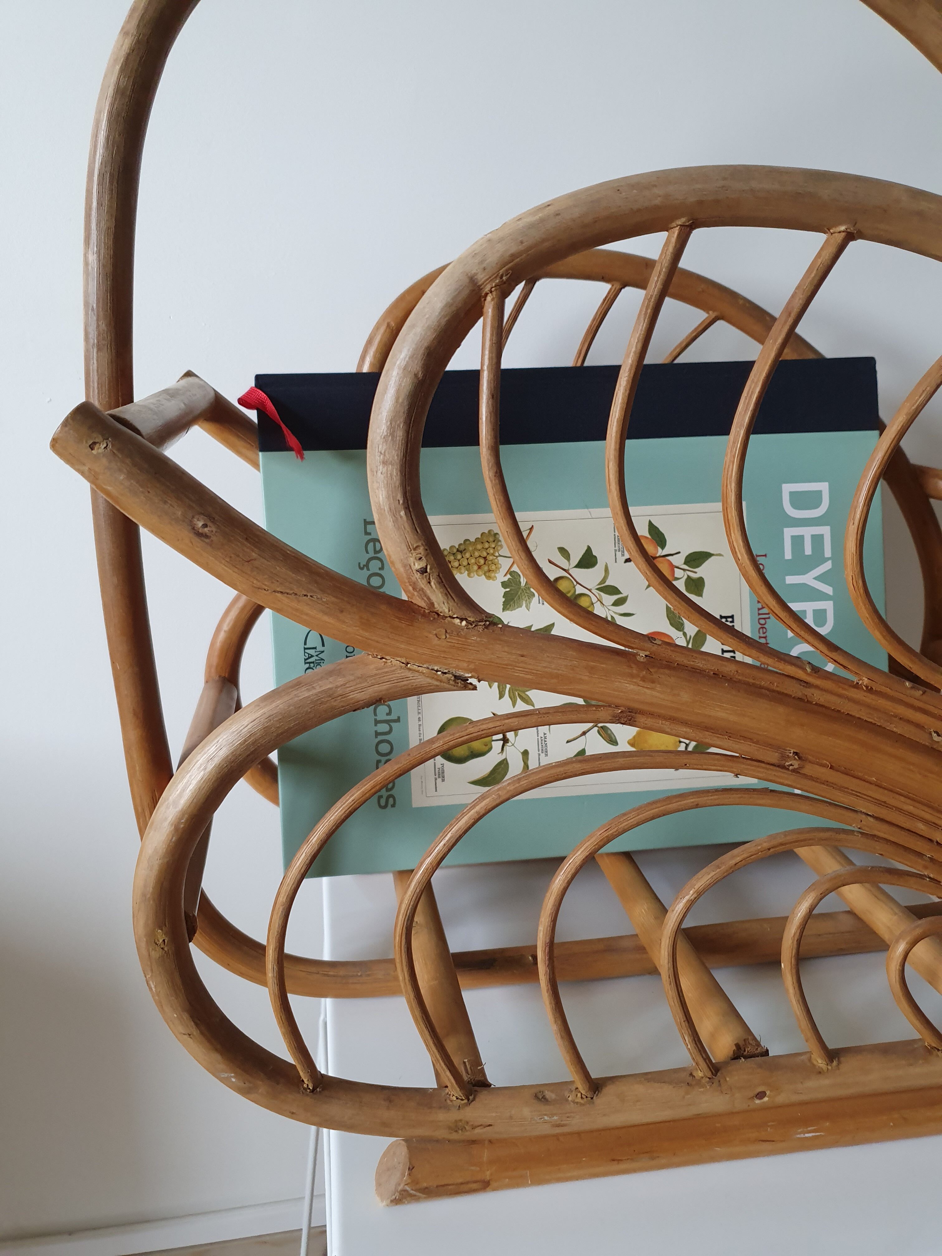 Door reviews rattan tropical leaf