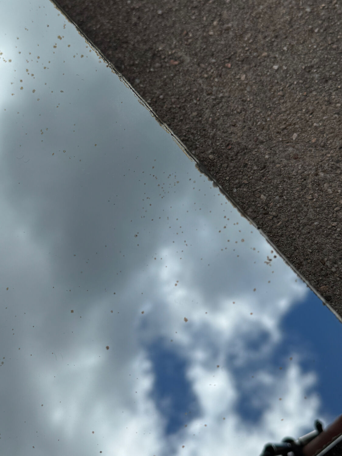 Wall-mounted coat rack mirror from the 1960s.