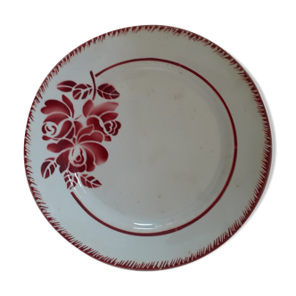 Round dish Salins France