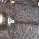 Ménagère Christofle Boréal