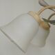 French Vintage 3 Light Lavender Lily Chandelier with Glass Shades 5480