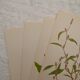 Lot de 4 planches botaniques Geigy
